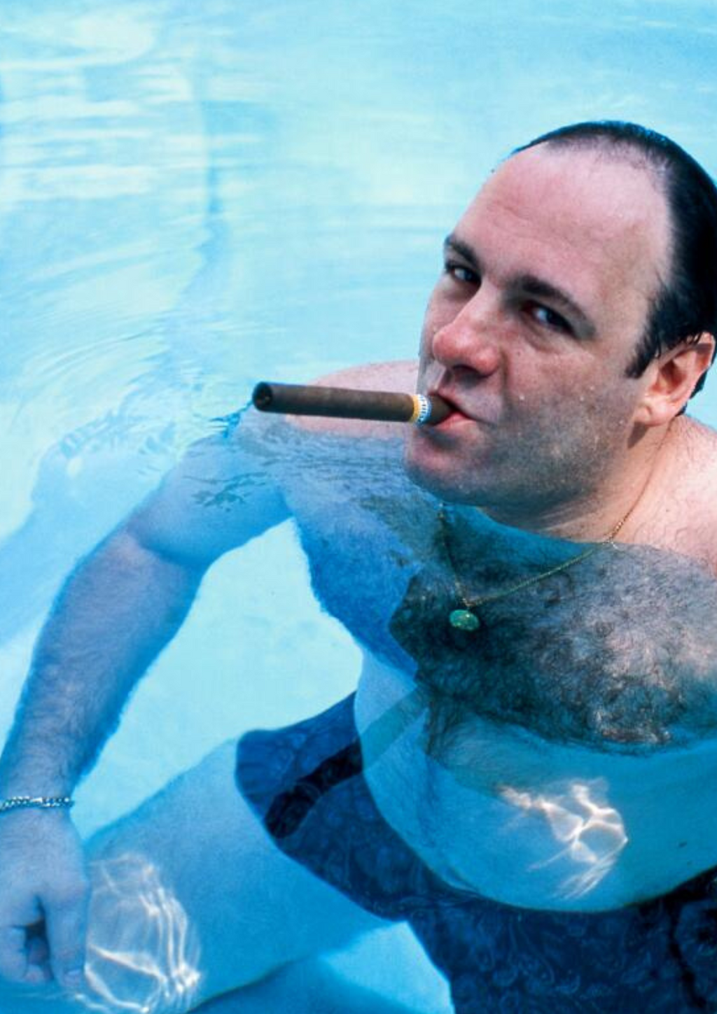 TONY SOPRANO POOL POSTER - VERSA