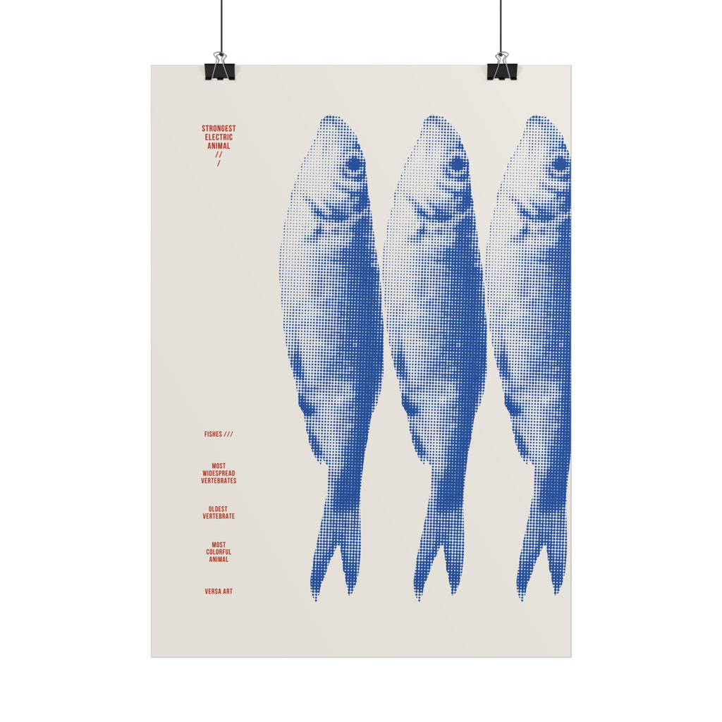 FISHES POSTER - VERSA
